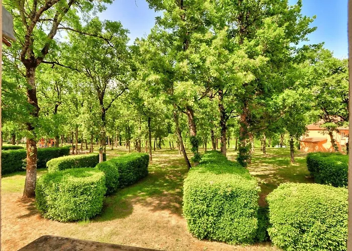 Lejlighed La Du - Maeva - 2 Pieces 5 Personnes - Confort Mae-4184